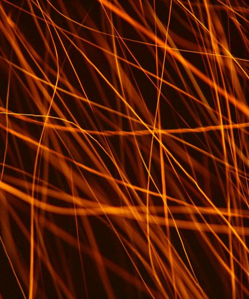 Close up of abstract herbal patterns and glowing energy lines